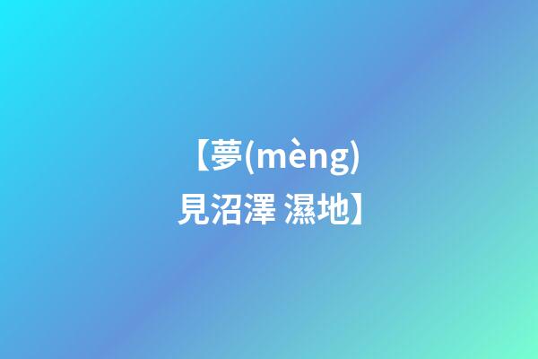 【夢(mèng)見沼澤 濕地】
